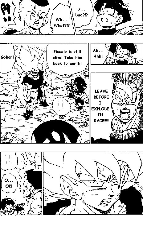 Dragon Ball Chapter 318 1